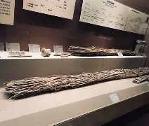 佥沯_r奁W]6嗕鰟q?鏳殹叜?J暯{-实时比分